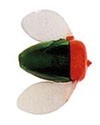 Спиннербэйты фирмы yakima bait. Расцветка MGRN
